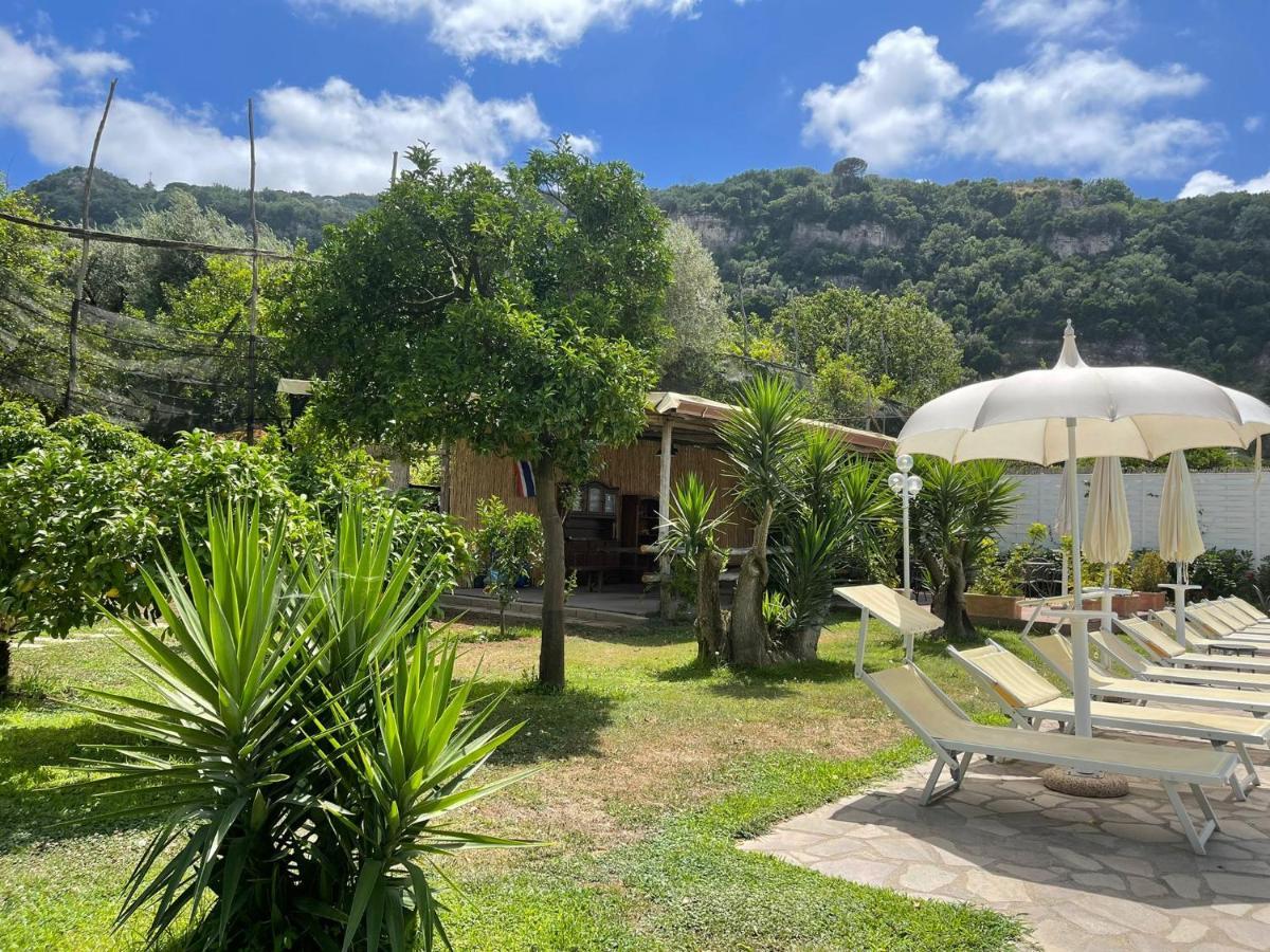 Casa Sorrento, Immerso Nel Verde A Pochi Passi Dal Centro Ngoại thất bức ảnh