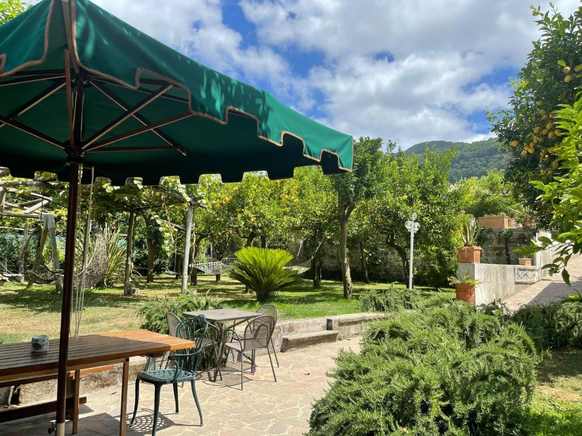 Casa Sorrento, Immerso Nel Verde A Pochi Passi Dal Centro Ngoại thất bức ảnh